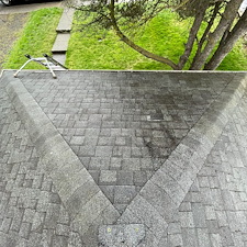 Moss-Removal-Roof-Cleaning-in-Pullman 4